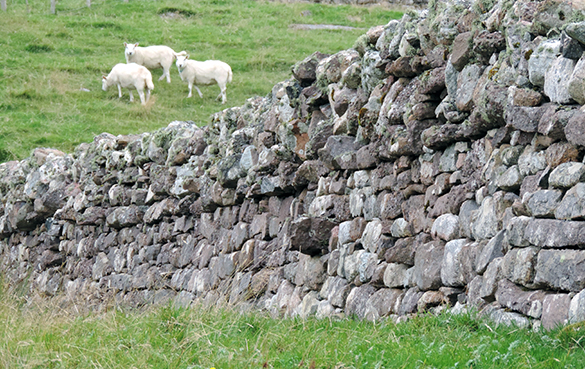 The Dry Stone Walls Of Cape Wrath Scotland Talking Beautiful Stuff