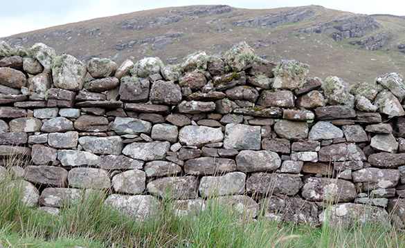 Dry Stone Walls 3