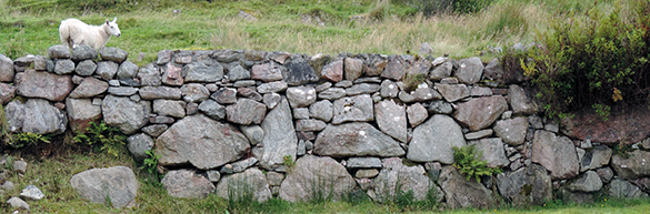 Dry Stone Walls 5