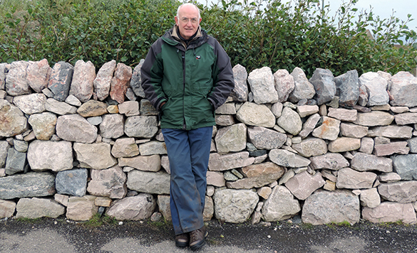 Dry Stone Walls 7