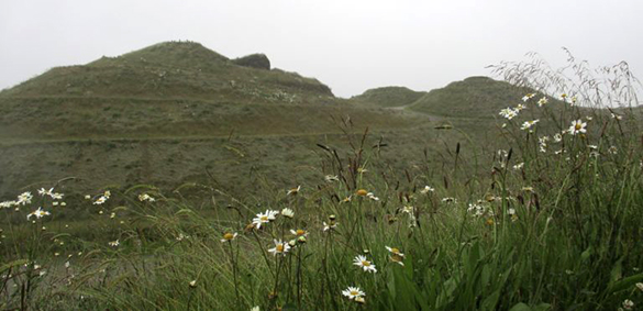 Northumberlandia 1