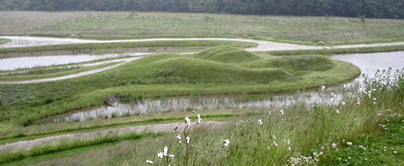 Northumberlandia 4