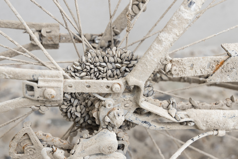 Bike with shells 3