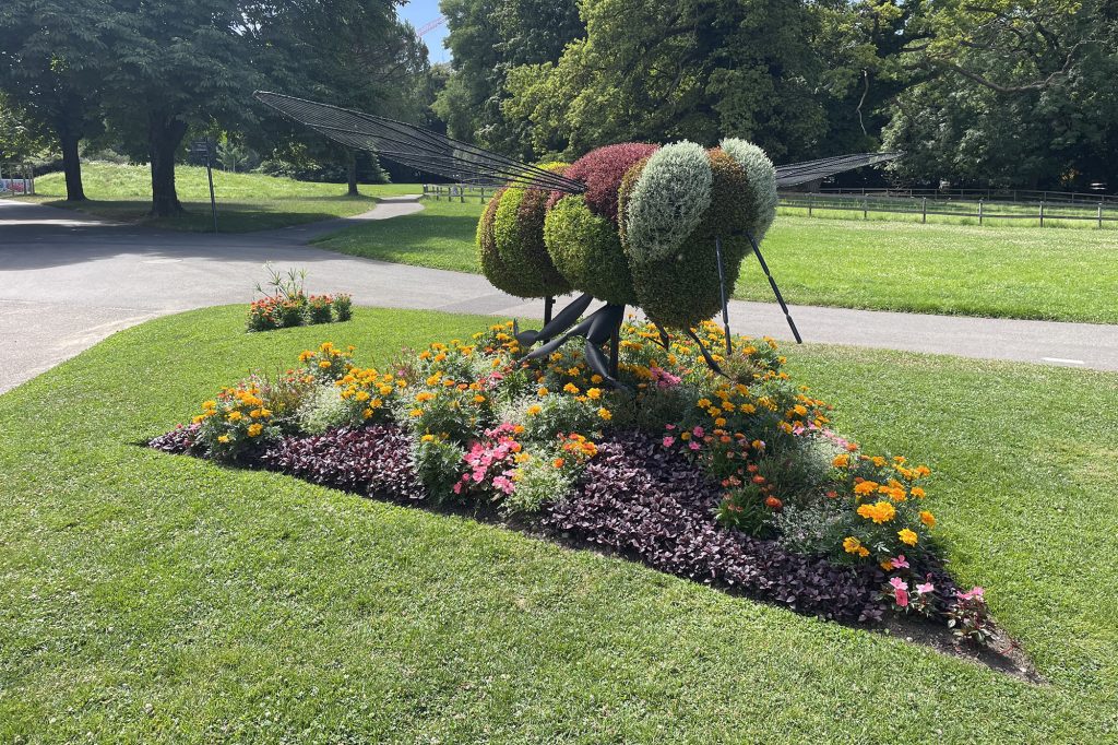 Giant flower bee 1