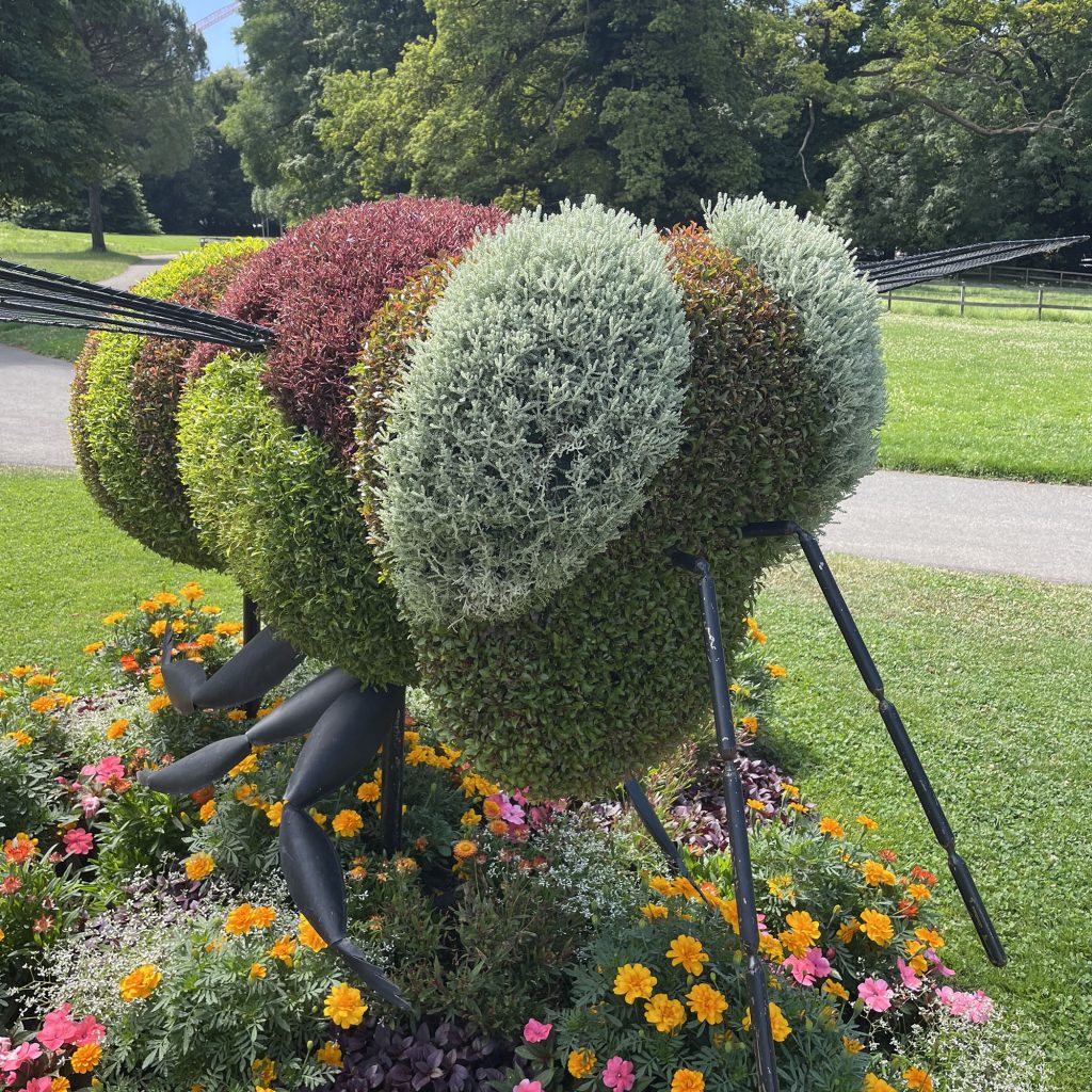 Giant flower bee 2