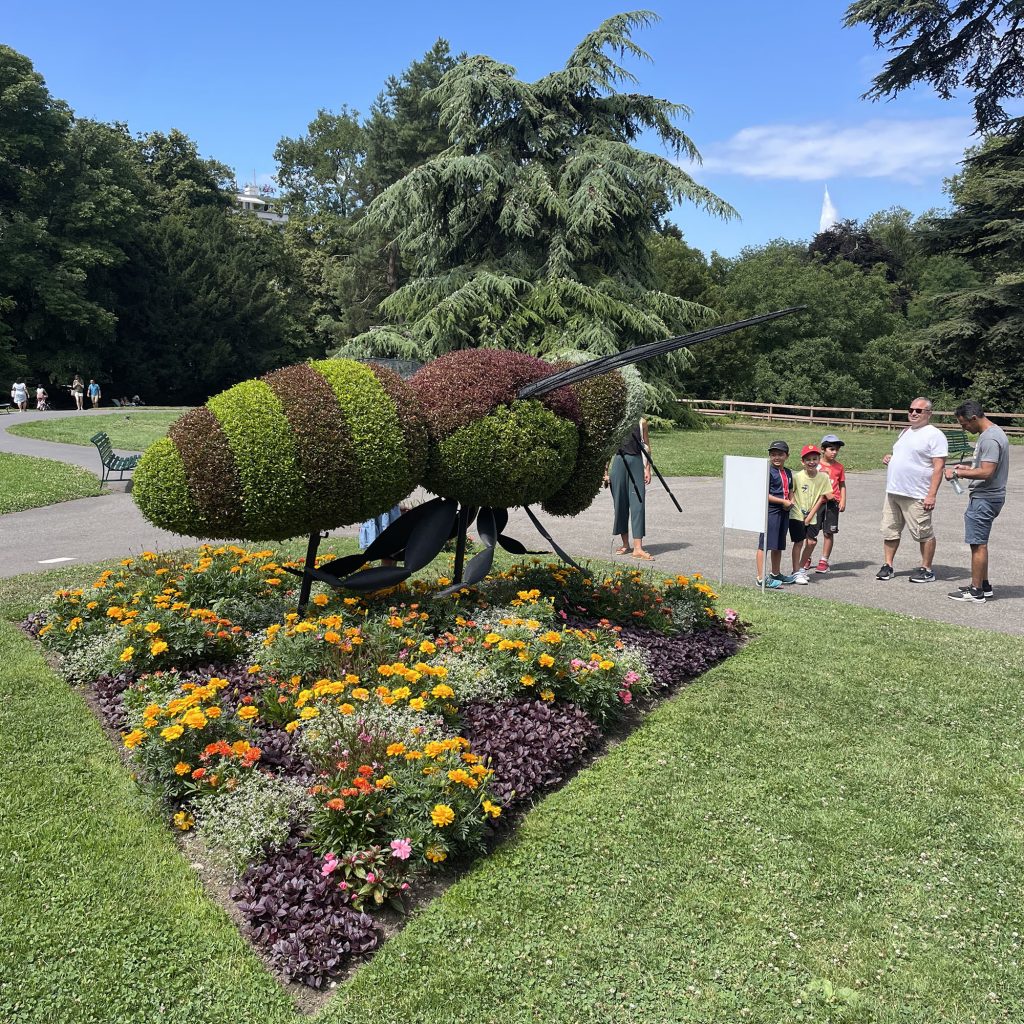 Giant flower bee 3