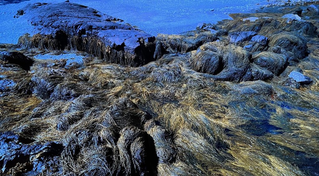 Andy Goldsworthy at the Royal Scottish Academy 7